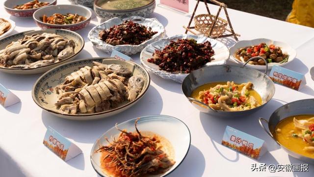 游人如织！第九届来安池杉湖观鸟周暨非遗美食文化宣传系列活动启幕