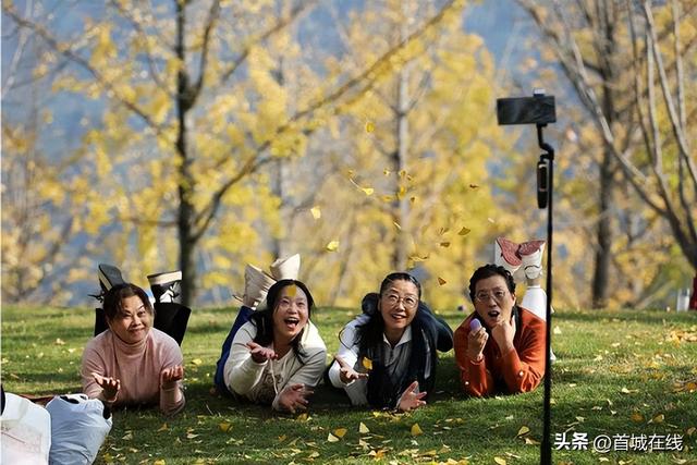 错过等明年！宜宾今年宝藏银杏打卡地合集在这里