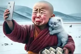 A股:农行股价4.24元，每股派息4.84元，优先股这么吃香吗？图片