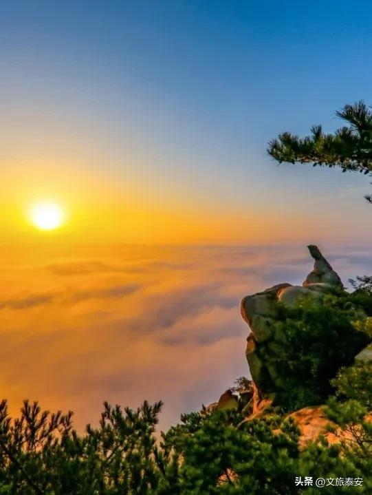 元旦游新甫,追光迎新福!终于能和好友一起撒欢看日出啦~