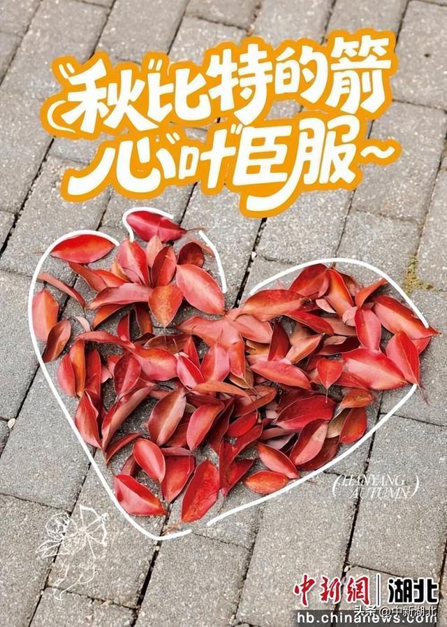 来汉阳解锁最有含金量的秋日玩法