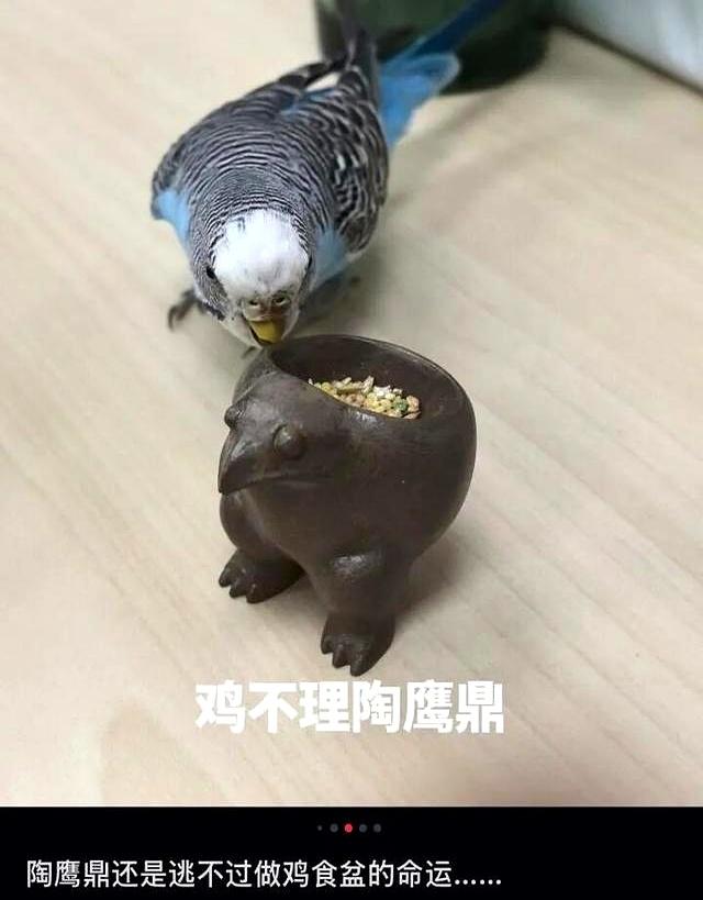 故宫博物院成立100周年，年轻人开始热衷「收集文物」了？