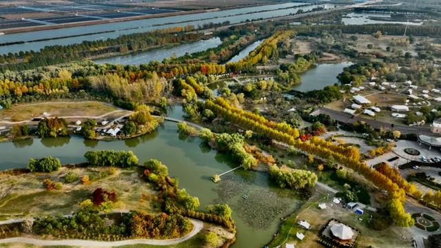 谁说初冬只有萧瑟？来太白湖新区解锁绚烂生机打卡地