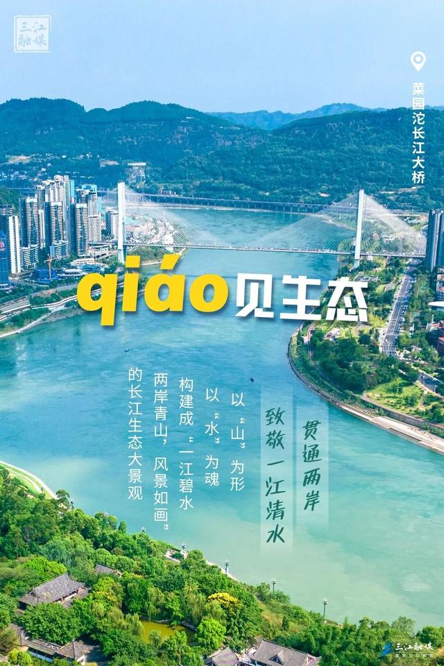 来新区，qiáo一qiáo！