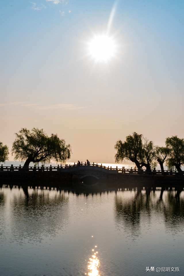 不止大坝！昆明观鸥最全热门+小众点位收录＊附核心区交通指南