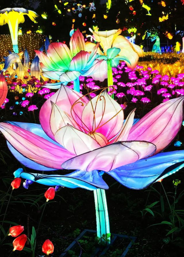 桂林：首届非遗千灯游园，光影艺术璀璨盛宴！