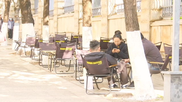 收藏这份“鎏金地图”，喝咖啡、拍银杏、晒太阳