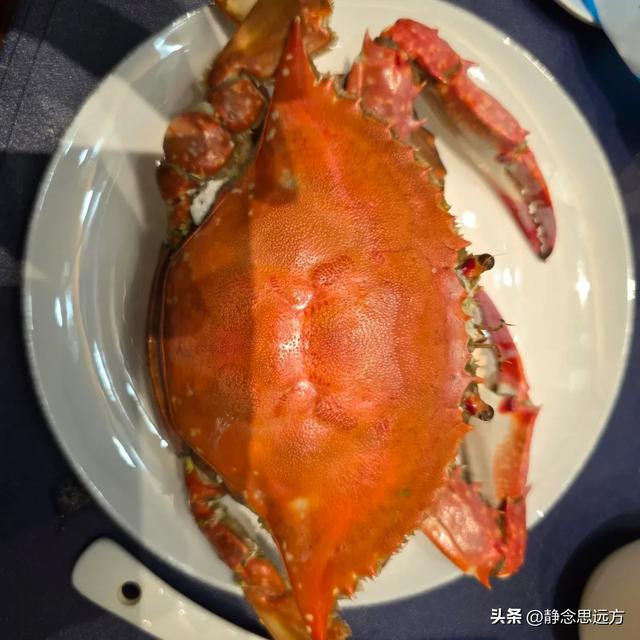 退休跟着儿子到了东营生活了一年了，说实话，我羡慕东营的生活