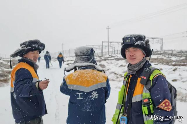 #“我的铁路风景”故事汇#戈壁滩上的梭梭树