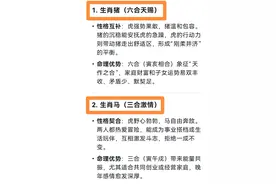 Deepseek分析：生肖虎和谁一起才是“白头偕老”命中注定的伴侣！图片