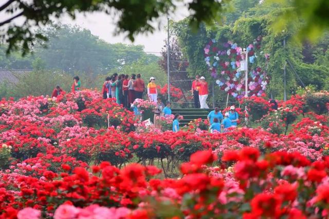 免票！半价！凭电影频道M榜门票，解锁宜昌景区优惠！