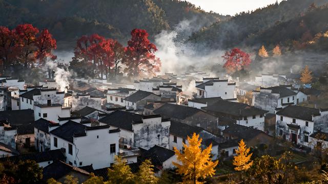 丹枫醉染千嶂赤，溪山岁稔入画来 —— 浙江宁波四明山秋韵漫笔
