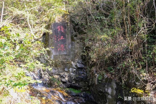 影记 | 衢州钱江源国家森林公园