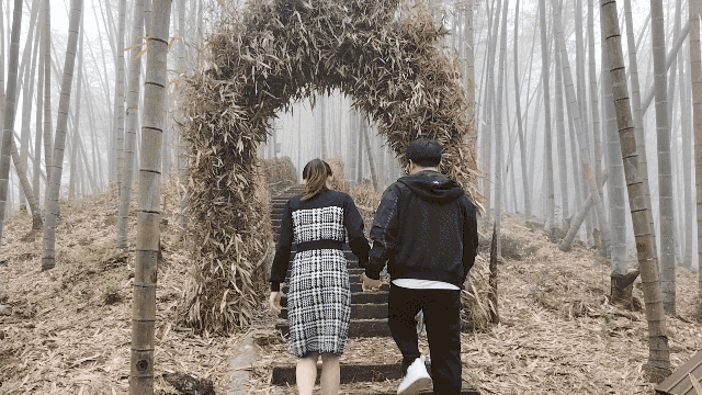 游在鹰潭 | 初冬漫游攻略：丹霞、杉林、林海的诗意三重奏【全球学子嘉游赣 奇绝鹰潭逍遥游】