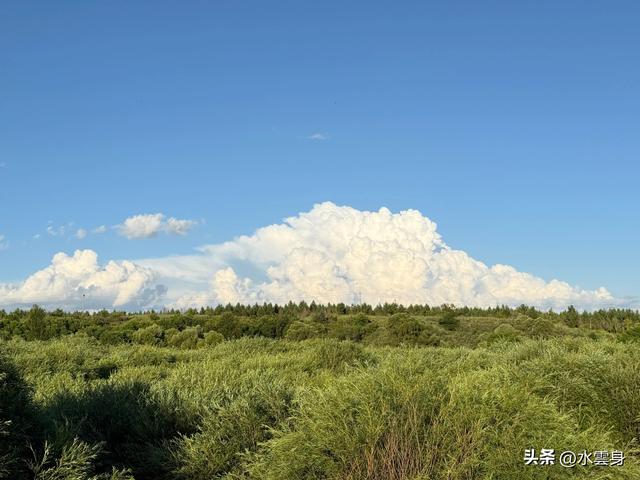 向北而行：北京自驾沽源、多伦、太仆寺旗草原牧歌（3）沽源多伦