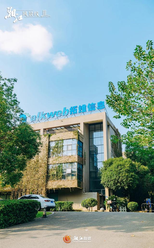 这样的桐梓坡，你一定没见过！