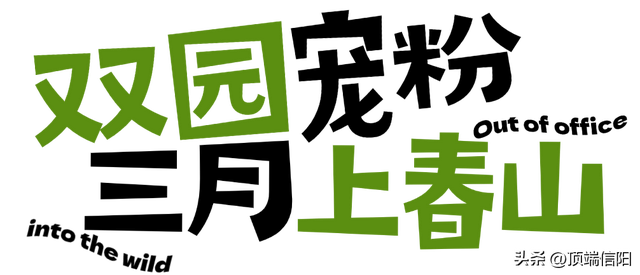 三月女士免票，男士半价！鸡公山邀您双园畅玩