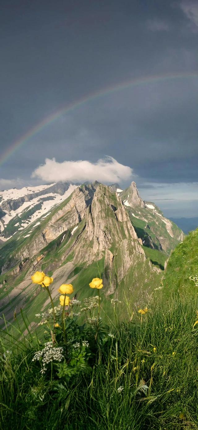 手机壁纸|简约的自然风光美景
