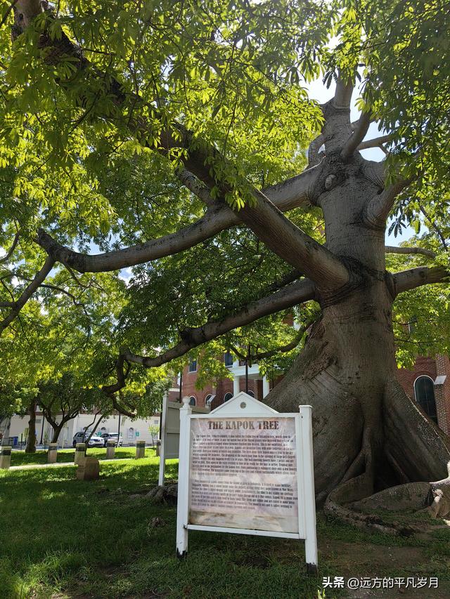 美国最南端的文艺小岛Key West(迈阿密游记四）