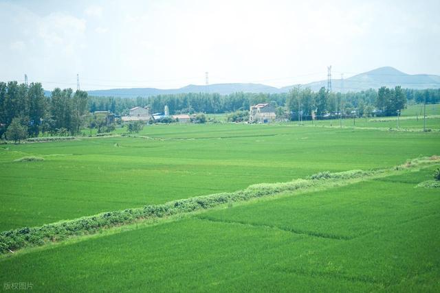 三河市：知名的历史文化名村（二）