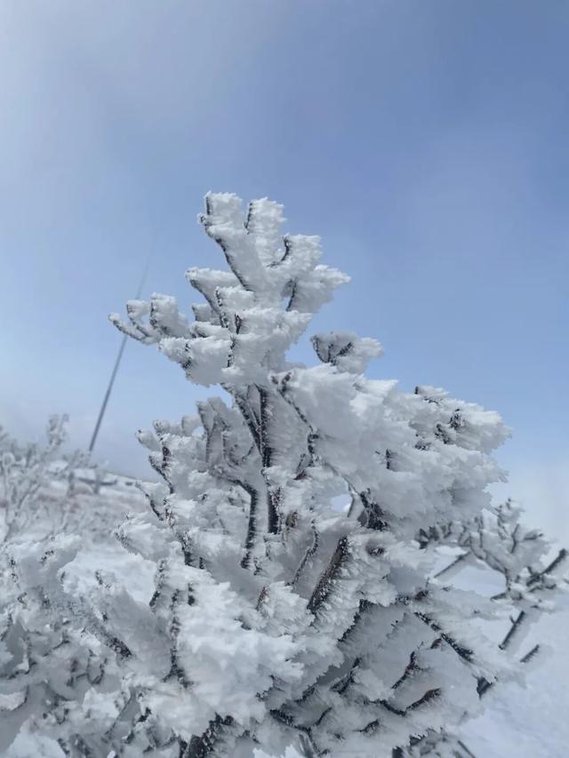 大雪暴雪、中雨大雨要来了！