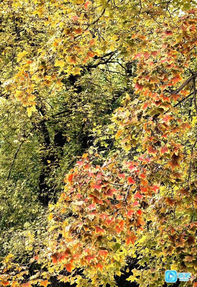 浞景无边，快乐亦无边~