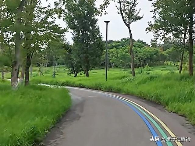 成都粉黛草花开了，景色壮观拍照惊艳，不要门票，地铁公交直达！
