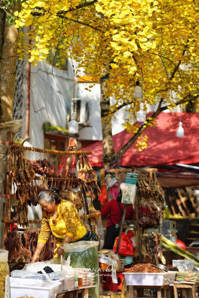 漫游韶关，赴一场山水间的秋日之约