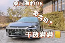 秦L和海豹06 买它，这篇就够了！全面详细介绍，入门必看图片