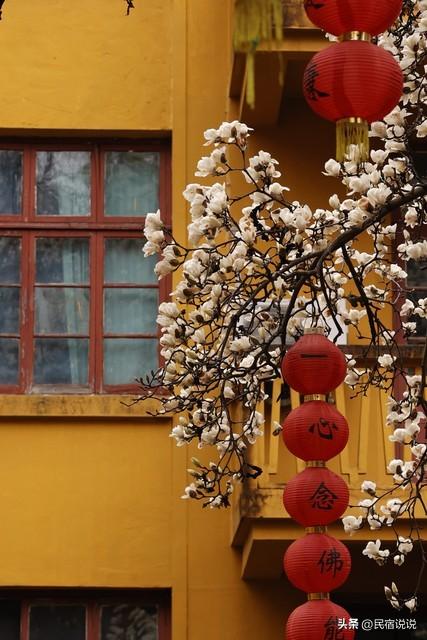 杭州的春天原来这么美，推荐这样玩！