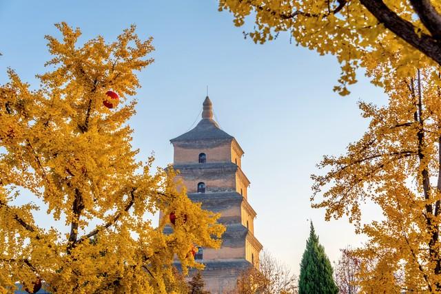 推荐国内11月份适合去的10个地方，去过5个不简单，你去过几个？