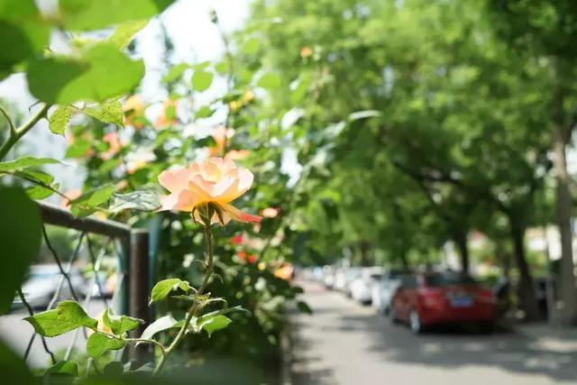 首都环路知多少