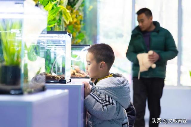 开年遛娃首选！东平湖流浪水世界暖冬亲子奇遇季，全家欢乐新去处！