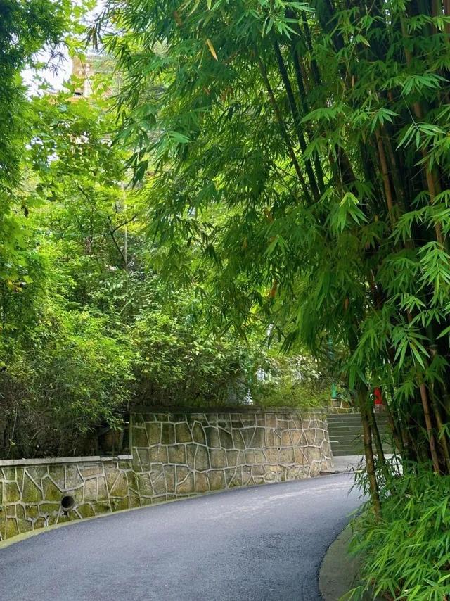 秋高气爽，一起去爬山呀