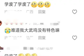广西又出新花样版本文案，广东网友说是他们文旅，评论区笑不活了图片