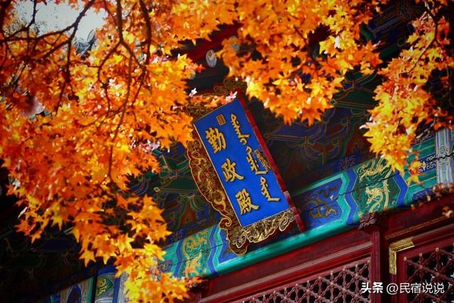 秋天，这十大红叶观赏地告诉你该去哪？