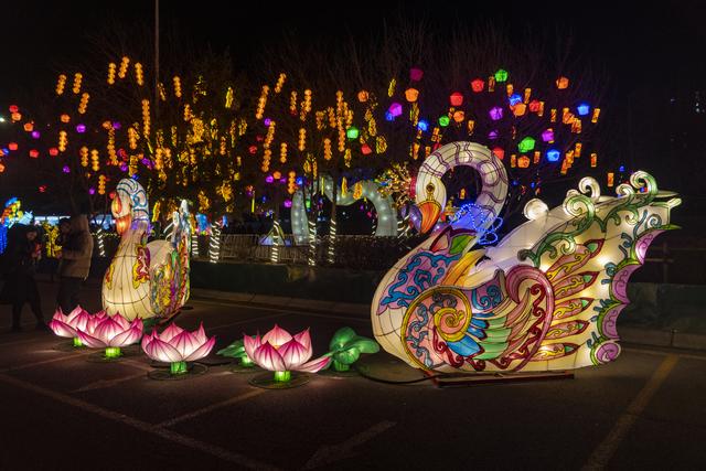 辽宁沈阳：丁香湖非遗灯会精彩震撼 绝对值得打卡