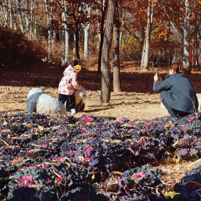 园中园，画中画，秦皇岛一河两园自然馈赠！