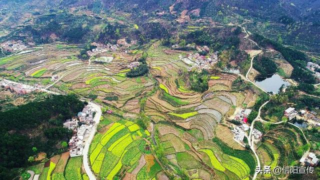 秋色正斑斓！信阳赏秋打卡地推荐