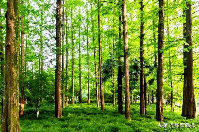 研究发现：若50岁后才开始锻炼！身体衰退速度与消极不动者相同？