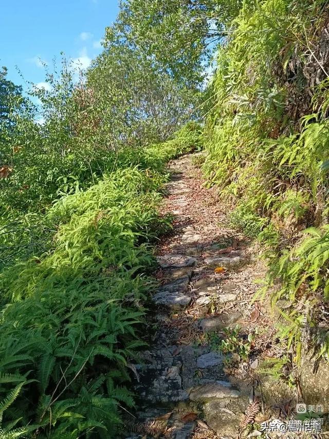 温州这条小众山脊线穿越,风光绝美少有人知,你可去过?