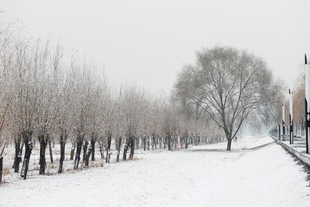 “冬雪多不多，就看秋分”，今日秋分，怎么看？今冬雨雪多吗？
