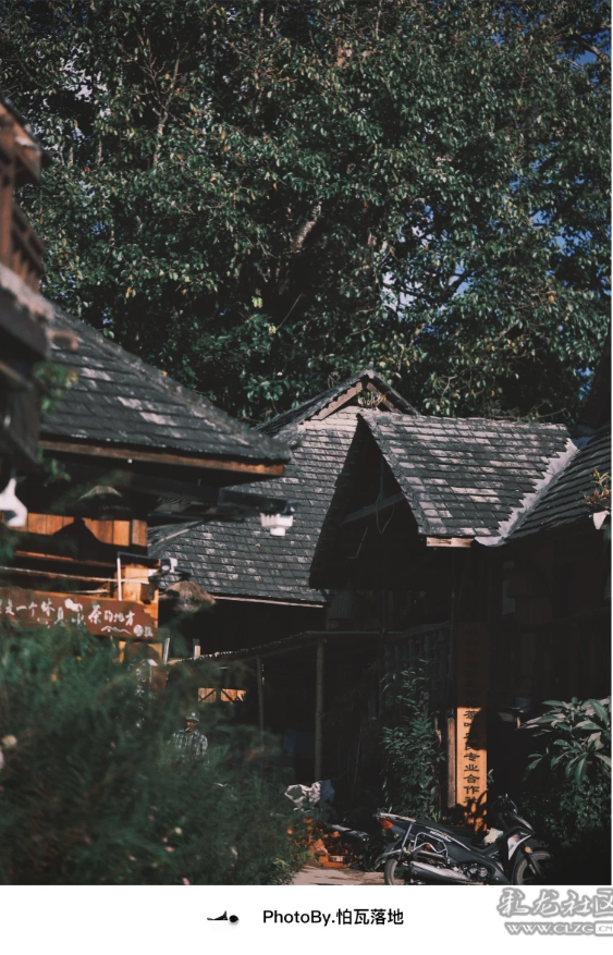 景迈山｜糯干古寨、翁基古寨、千年茶林