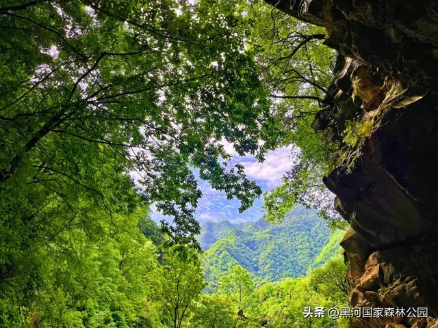 秋天的第一场旅行，在黑河给你安排！