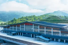 这样买票更划算！杭温高铁推出定期票、计次票图片