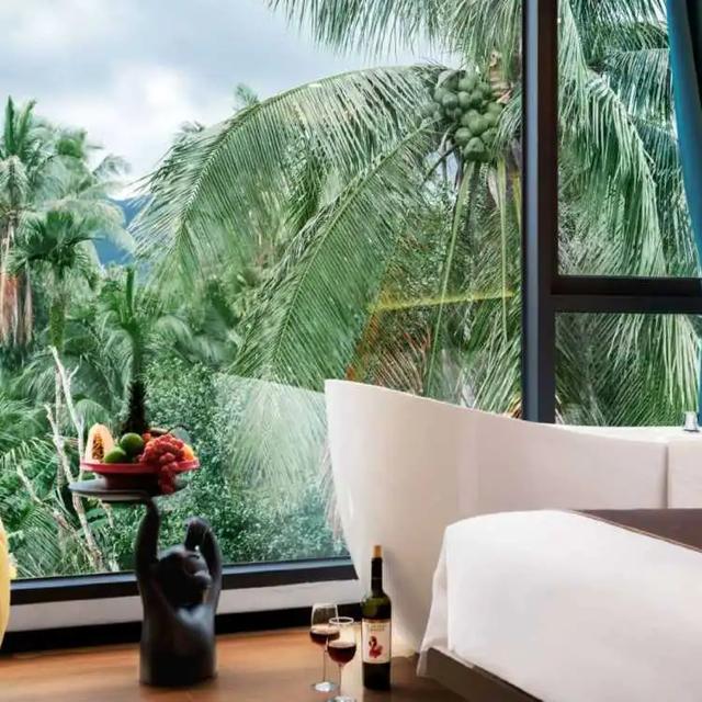 万宁两家民宿获评“银宿”,在日月湾周边!