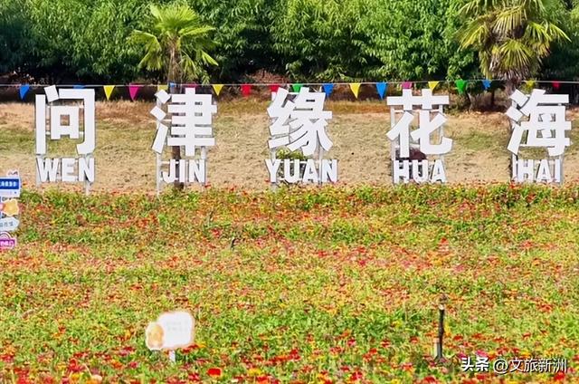 57万人次来打卡！“双节”假期新洲绽放别样精彩