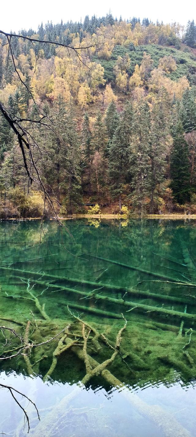 神仙池（一）竖幅