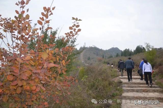 新密市实验高级中学举行重阳节登魏长城小顶山活动
