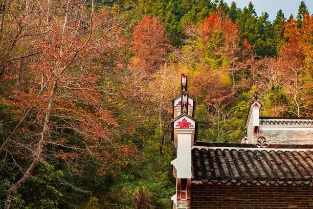 美如仙境！韶关这个地方迎来今年首场冰挂雾凇景观，秋冬来旅行，赏雪泡泉看红枫为你安排好了